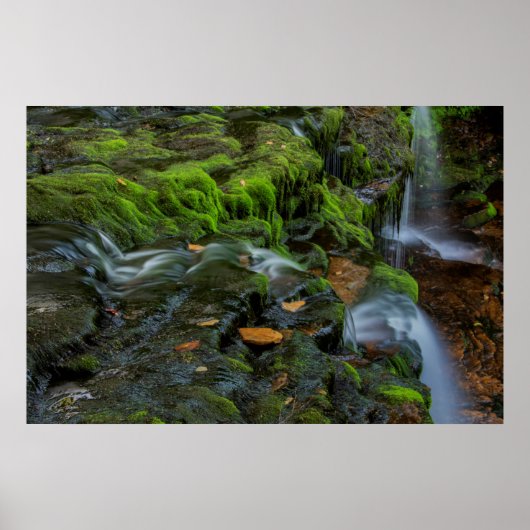 USA, Pennsylvania, Benton, Ricketts Glen State Poster (Vorne)