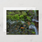 USA, Pennsylvania, Benton, Ricketts Glen State Postkarte (Vorne/Hinten)