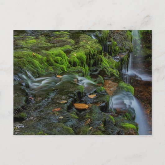 USA, Pennsylvania, Benton, Ricketts Glen State Postkarte (Vorderseite)