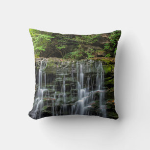 USA, Pennsylvania, Benton. Wasserfall in Ricketts Kissen