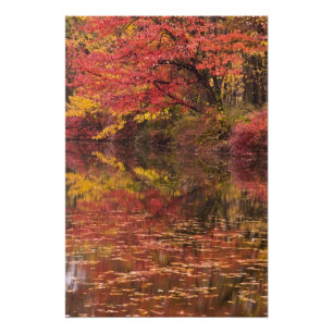 USA, Pennsylvania, Delaware Water Gap National Fotodruck