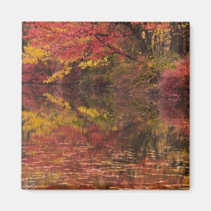 USA, Pennsylvania, Delaware Water Gap National Magnet