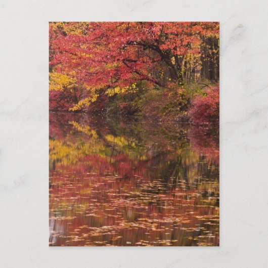 USA, Pennsylvania, Delaware Water Gap National Postkarte (Vorderseite)