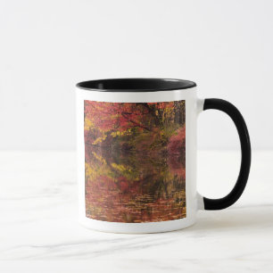 USA, Pennsylvania, Delaware Water Gap National Tasse