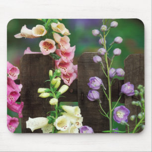 USA, Pennsylvania. Fingerhut und Rittersporn Mousepad