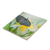 USA, Pennsylvania. Frack Schmetterling Fliese (Seite)