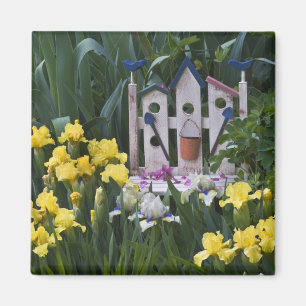 USA, Pennsylvania. Garteneis wachsen um Magnet