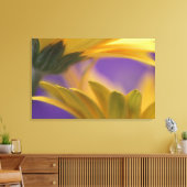 USA, Pennsylvania. Gelbe Gerbera Daisies, nah Leinwanddruck (Insitu (Wohnzimmer))