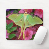 USA, Pennsylvania. Luna Moth on Pink Clematis Mousepad (Mit Mouse)