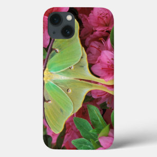 USA, Pennsylvania. Luna-Motte auf rosa Clematis Case-Mate iPhone Hülle