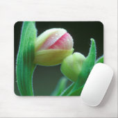 USA, Pennsylvania. Nahe Blume Mousepad (Mit Mouse)