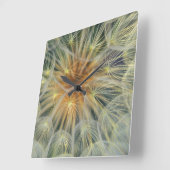 USA, Pennsylvania. Naher Kronendkopf Quadratische Wanduhr (Winkel)