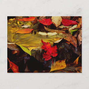 USA, Pennsylvania, Pocono-Gebirge 1 Postkarte