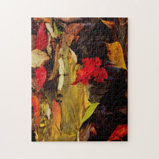 USA, Pennsylvania, Pocono-Gebirge 1 Puzzle (Vertikal)