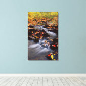 USA, Pennsylvania, Pocono-Gebirge 2 Leinwanddruck (Insitu (Holzboden))