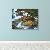 USA, Pennsylvania, Ricketts Glen Staat Park Leinwanddruck (Insitu (Holzboden))