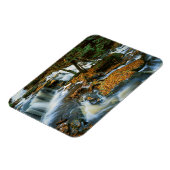 USA, Pennsylvania, Ricketts Glen Staat Park Magnet (Linke Seite)