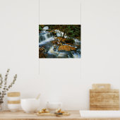 USA, Pennsylvania, Ricketts Glen Staat Park Poster (Küche)