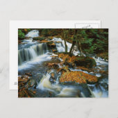 USA, Pennsylvania, Ricketts Glen Staat Park Postkarte (Vorne/Hinten)