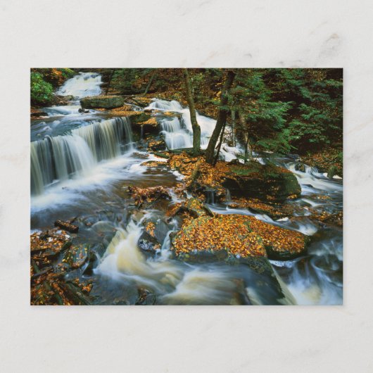 USA, Pennsylvania, Ricketts Glen Staat Park Postkarte (Vorderseite)