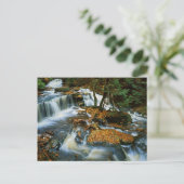 USA, Pennsylvania, Ricketts Glen Staat Park Postkarte (Stehend Vorderseite)