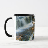 USA, Pennsylvania, Ricketts Glen Staat Park Tasse (Links)