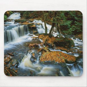 USA, Pennsylvania, Ricketts Glen State Park Mousepad