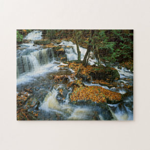 USA, Pennsylvania, Ricketts Glen State Park Puzzle