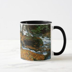 USA, Pennsylvania, Ricketts Glen State Park Tasse