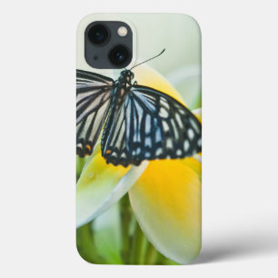 USA, Pennsylvania. Schwalbenschwanz-Schmetterling Case-Mate iPhone Hülle