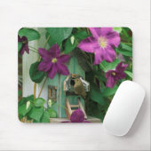 USA, Pennsylvania. Wren im Vogelhaus Mousepad (Mit Mouse)