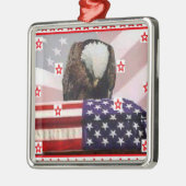 USA.png-AIGLE Silbernes Ornament (Links)