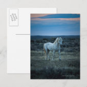 USA POSTKARTE (Vorne/Hinten)
