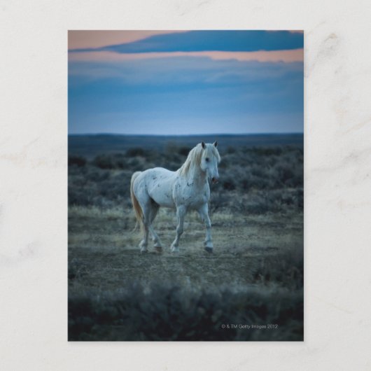 USA POSTKARTE (Vorderseite)
