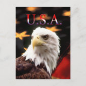 USA POSTKARTE (Vorderseite)
