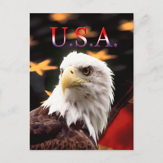 USA POSTKARTE (Vorderseite)