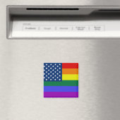 USA Rainbow Pride Magnet (In Situ (Geschirrspüler))