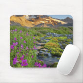 USA, Rainier National Park, Washington. Mousepad (Mit Mouse)