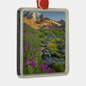 USA, Rainier National Park, Washington. Silbernes Ornament (Rechts)