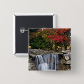 USA, Redmond, Washington. Herbstfarbe in einem Par Button (Vorne & Hinten)