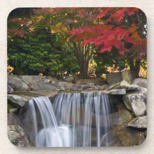 USA, Redmond, Washington. Herbstfarbe in einem Par Getränkeuntersetzer