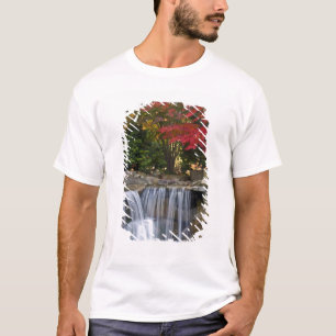 USA, Redmond, Washington. Herbstfarbe in einem Par T-Shirt