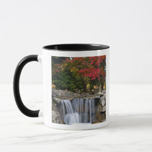 USA, Redmond, Washington. Herbstfarbe in einem Par Tasse