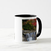 USA, Redmond, Washington. Herbstfarbe in einem Par Tasse (VorderseiteRechts)