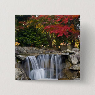 USA, Redmond, Washington. Herbstfarben in einem Pa Button