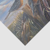 USA Robins Seidenpapier (Ausschnitt)