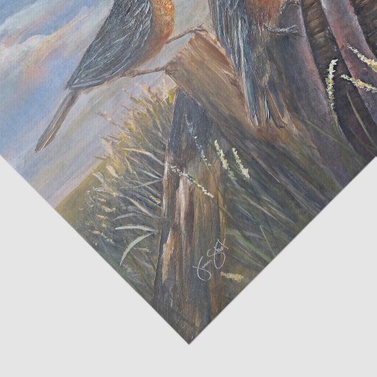 USA Robins Seidenpapier (Ausschnitt)