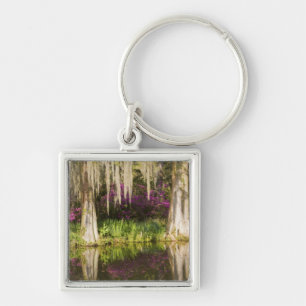 USA, South Carolina, Charleston. Cypress-Bäume Schlüsselanhänger
