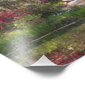 USA, South Carolina, Charleston. Cypress Trees 2 Fotodruck (Ecke)