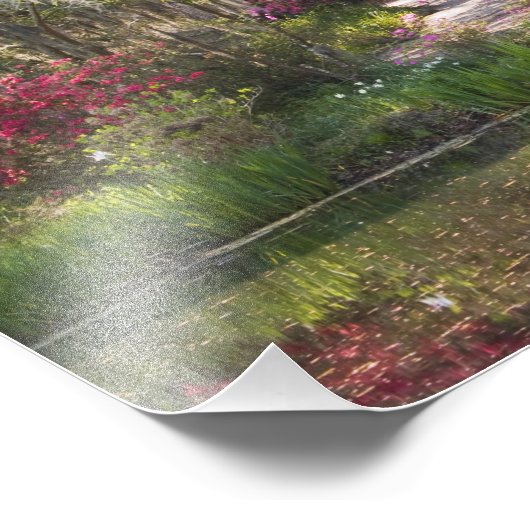 USA, South Carolina, Charleston. Cypress Trees 2 Fotodruck (Ecke)